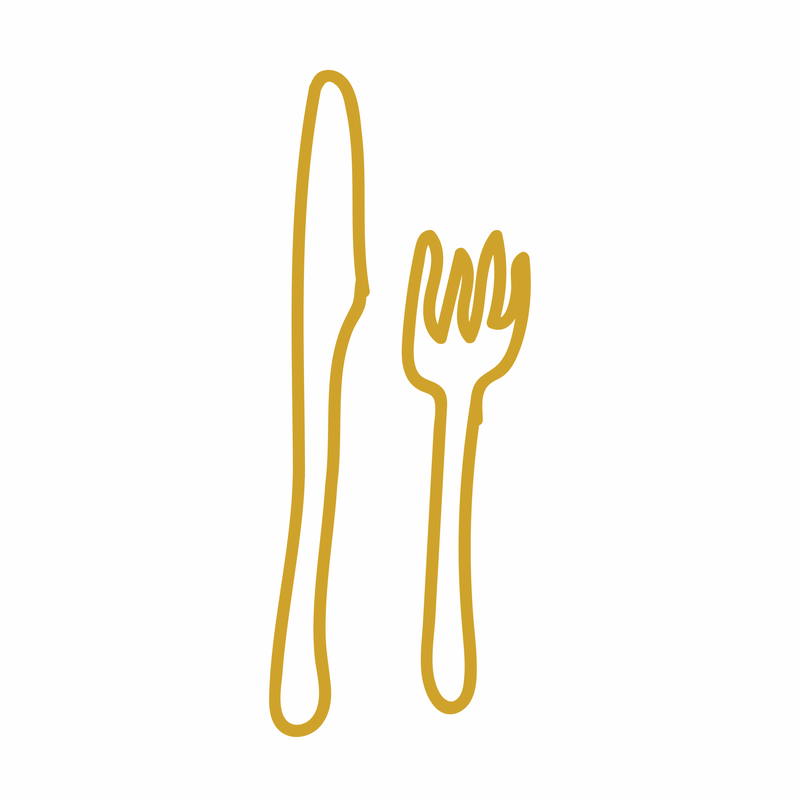 bv-icons-logo_Artboard 3 copy